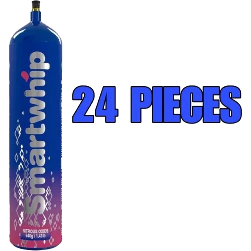 Smartwhip Bulk (24 pieces)